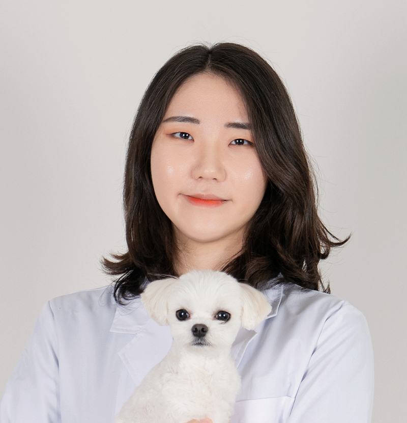 박도영